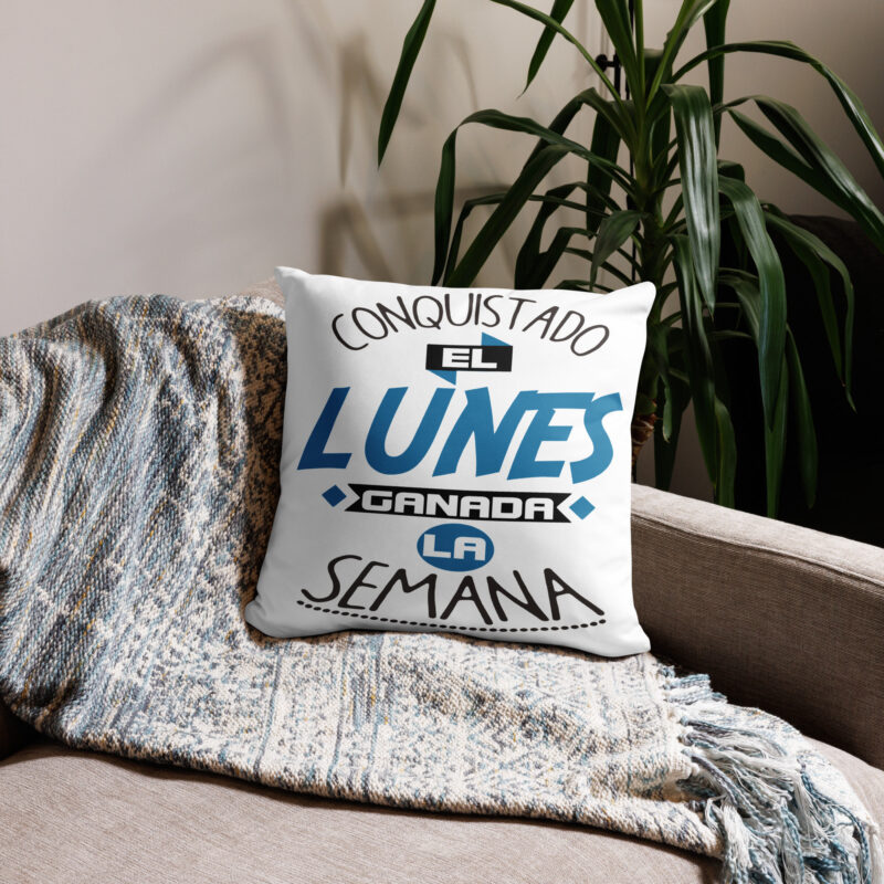 all-over-print-basic-pillow-case-18×18-front-69b832c67ade5.jpg