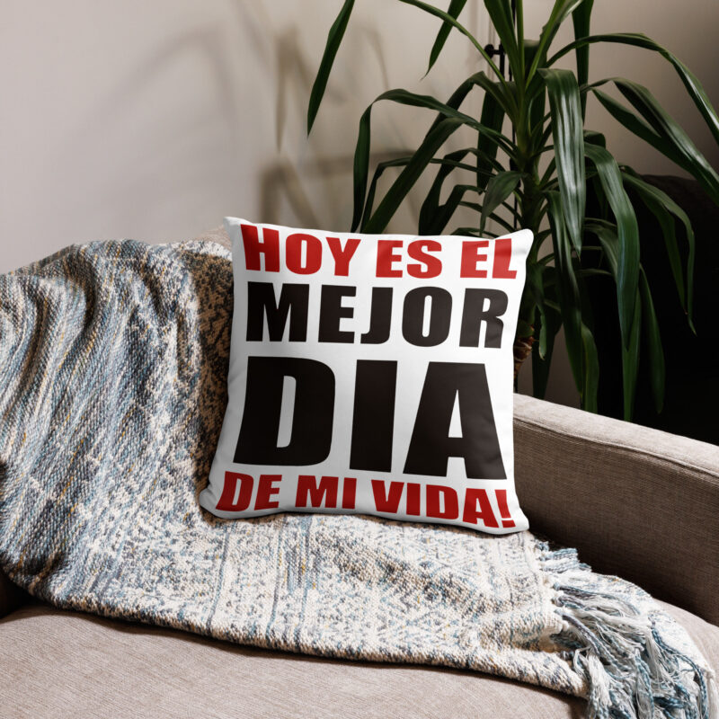 all-over-print-basic-pillow-case-18×18-front-69b97891b2174.jpg