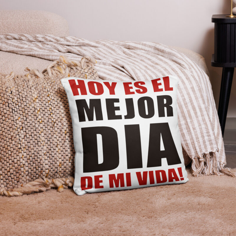 Hoy es el mejor día de mi vida - cojín
